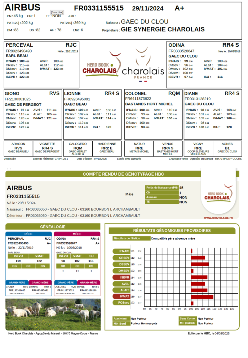genealogie taureau charolais AIRBUS