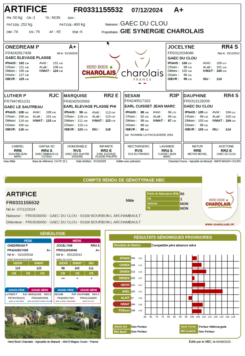 genealogie taureau charolais ARTIFICE