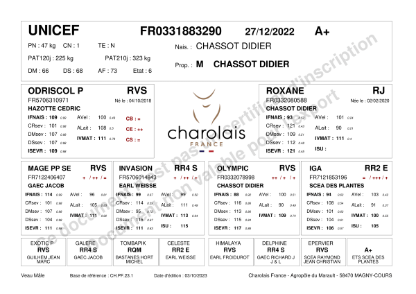 genealogie taureau charolais UNICEF