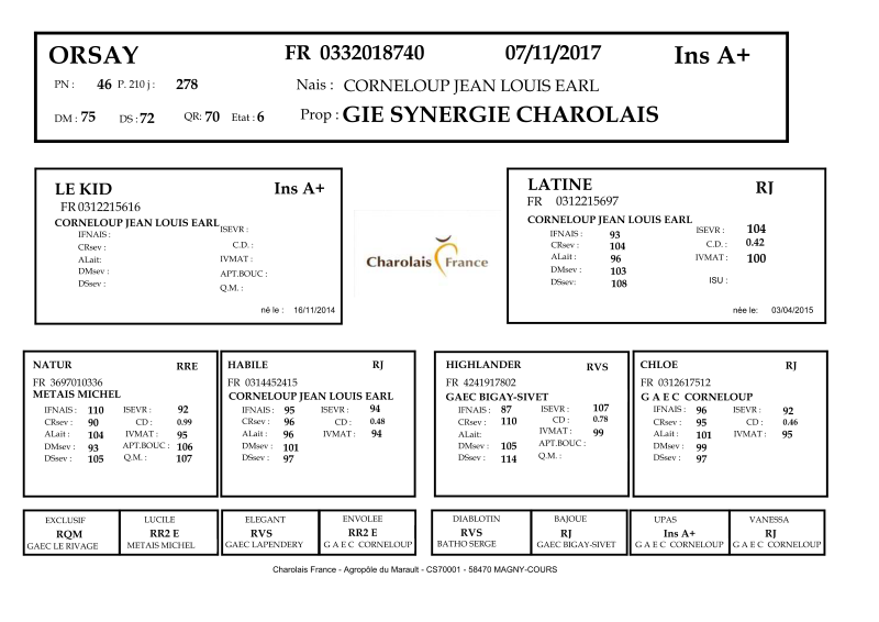 genealogie taureau charolais ORSAY