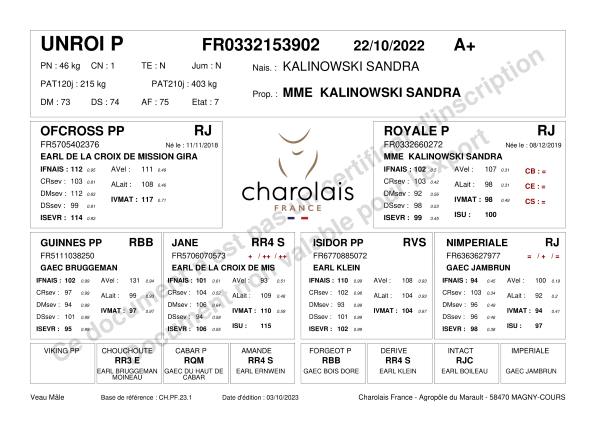 genealogie taureau charolais UNROI P