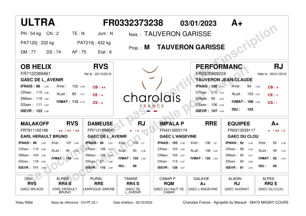 genealogie taureau charolais ULTRA