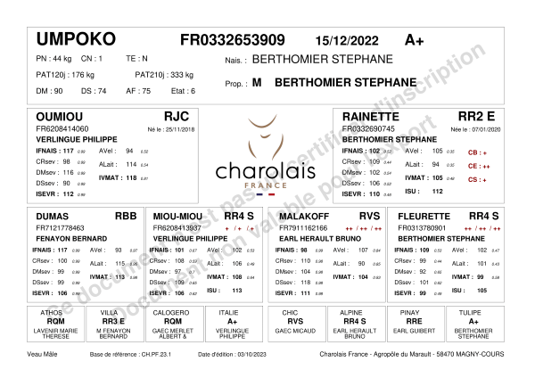 genealogie taureau charolais UMPOKO