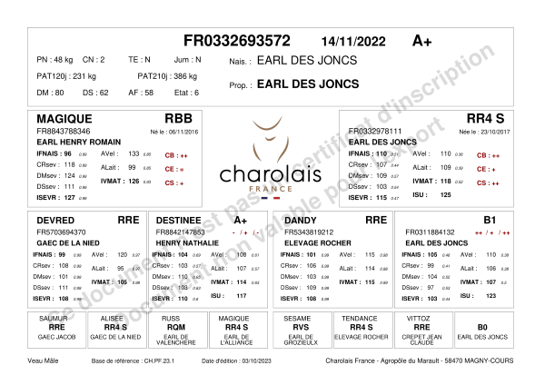 genealogie taureau charolais ULTRA