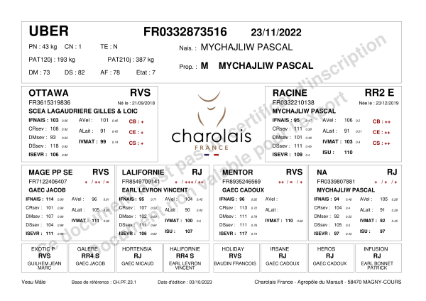 genealogie taureau charolais UBER
