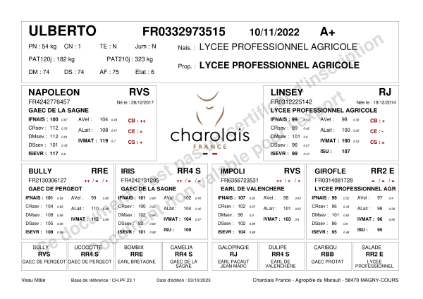 genealogie taureau charolais ULBERTO