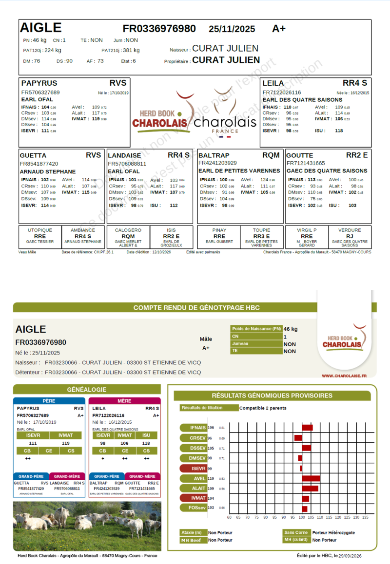 genealogie taureau charolais AIGLE     