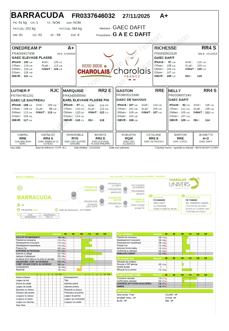 genealogie taureau charolais BARRACUDA 