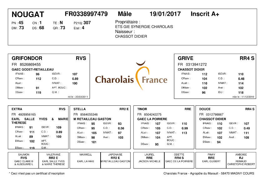 genealogie taureau charolais NOUGAT