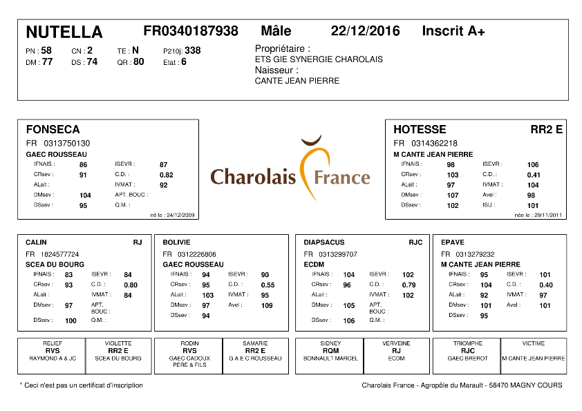 genealogie taureau charolais NUTELLA