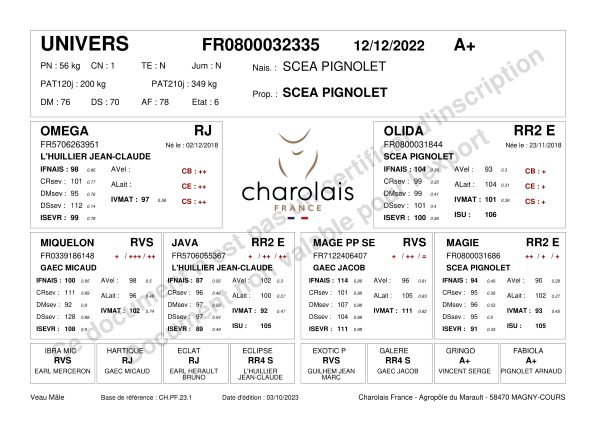 genealogie taureau charolais UNIVERS