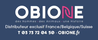 logo sponsor