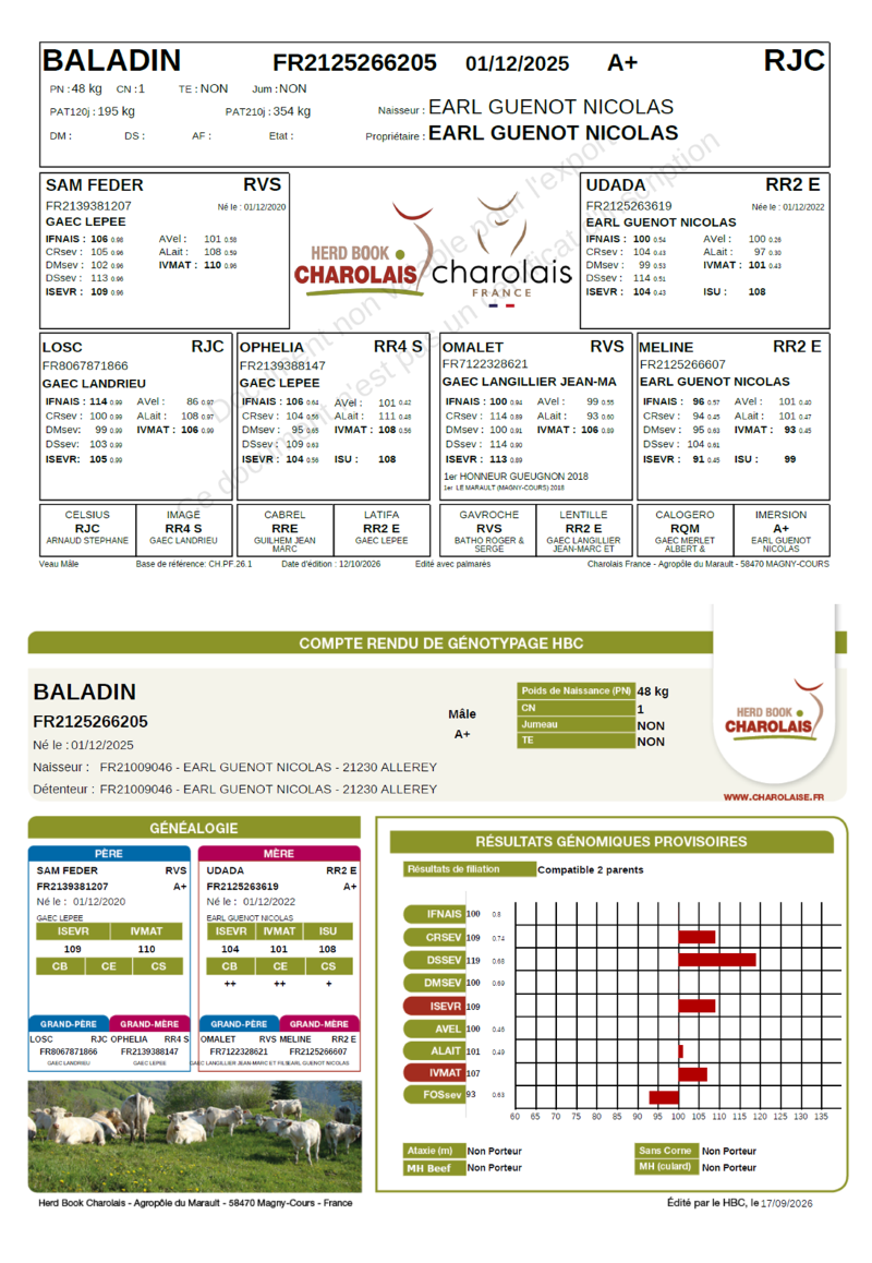 genealogie taureau charolais BALADIN   