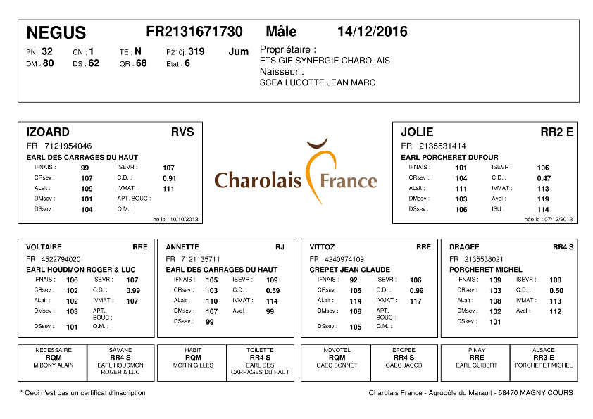 genealogie taureau charolais NEGUS