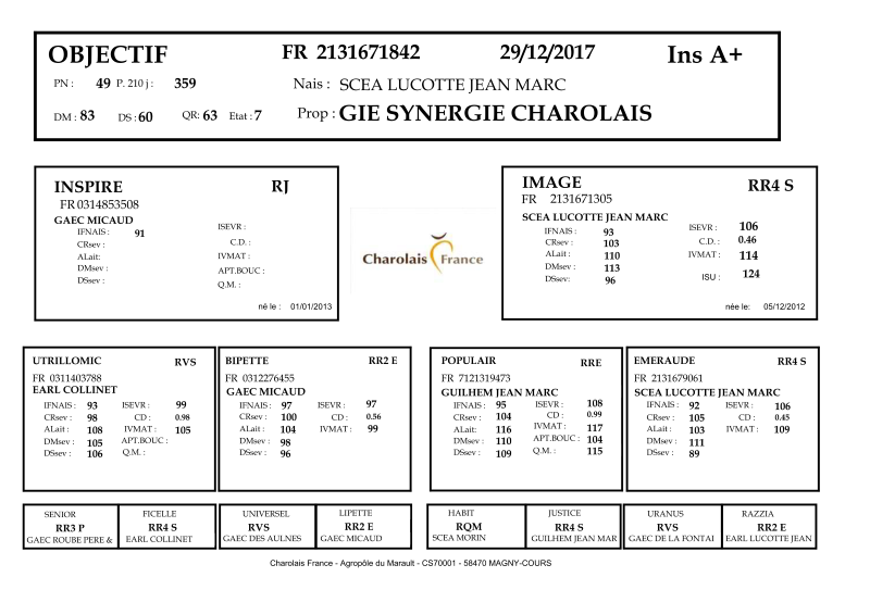 genealogie taureau charolais OBJECTIF