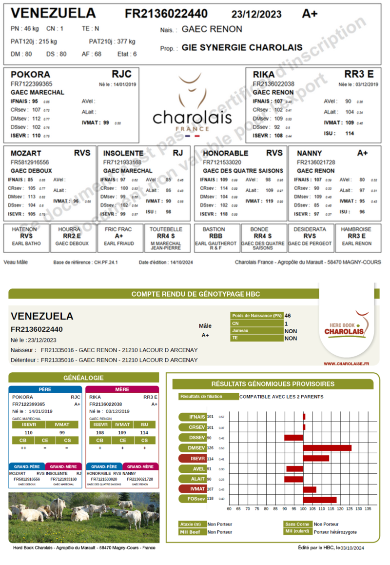 genealogie taureau charolais VENEZUELA