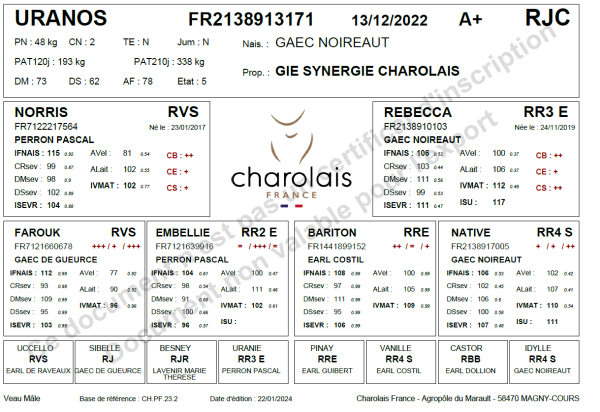 genealogie taureau charolais URANOS
