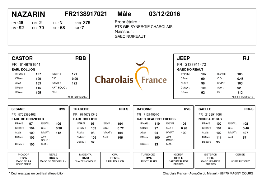 genealogie taureau charolais NAZARIN