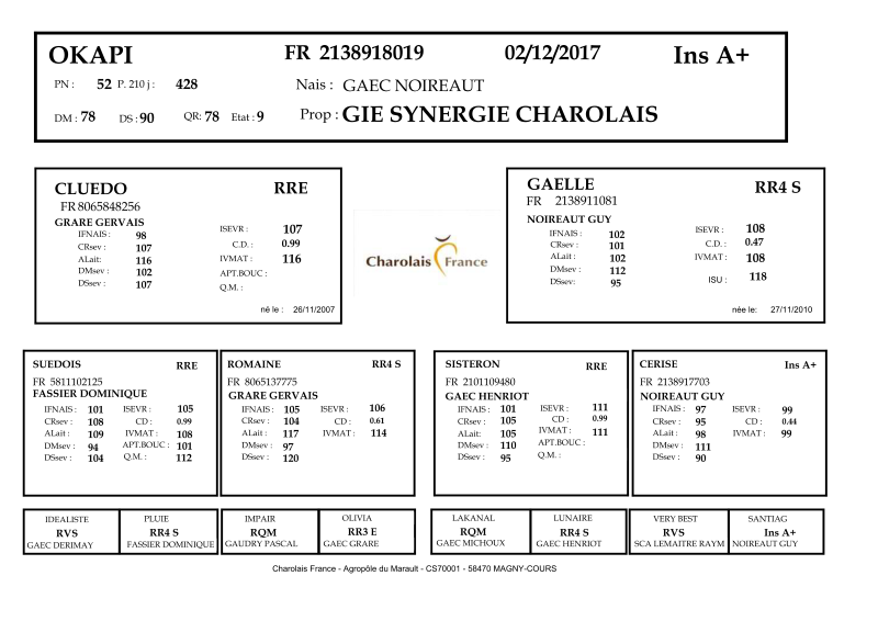 genealogie taureau charolais OKAPI