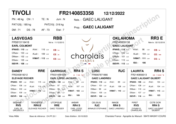 genealogie taureau charolais TIVOLI