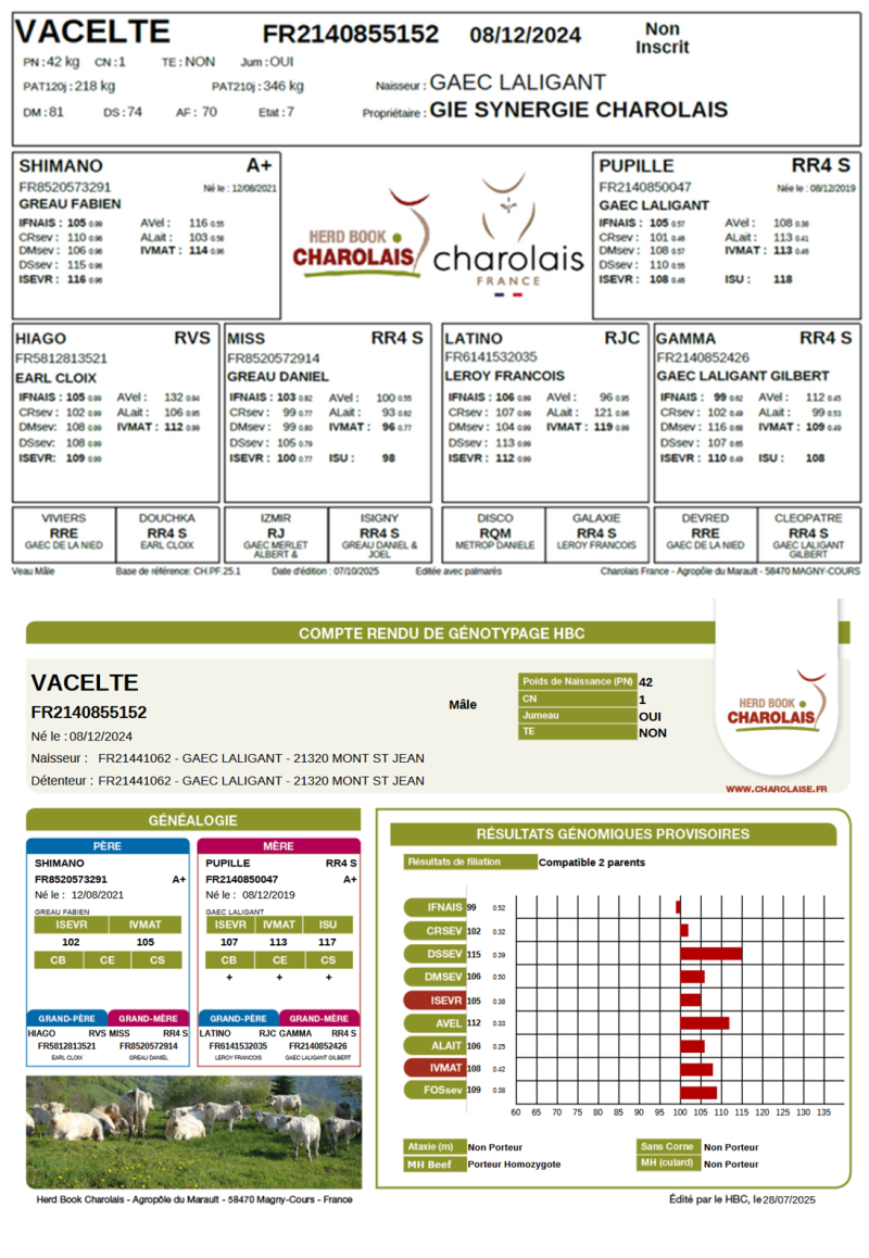 genealogie taureau charolais VACELTE