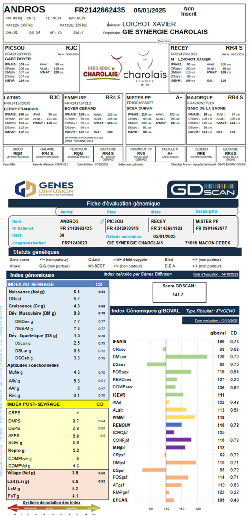 genealogie taureau charolais ANDROS