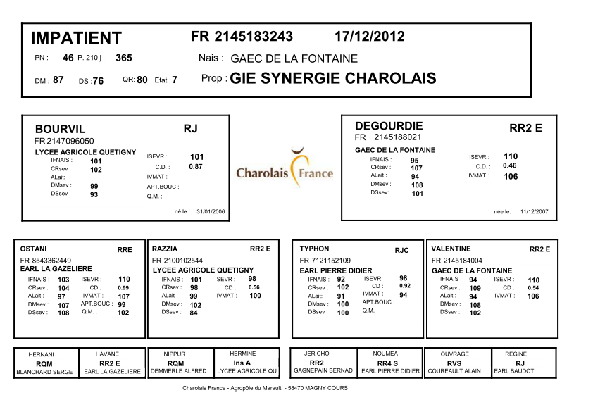 genealogie taureau charolais IMPATIENT