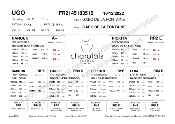 genealogie taureau charolais UGO