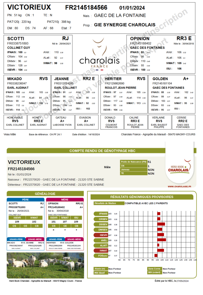 genealogie taureau charolais VICTORIEUX