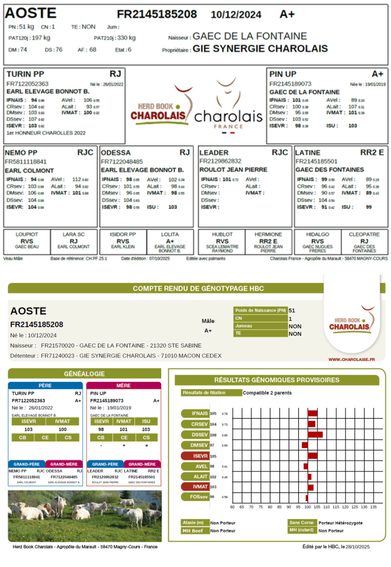 genealogie taureau charolais AOSTE