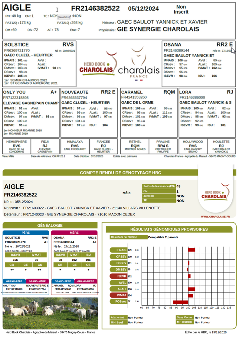 genealogie taureau charolais AIGLE