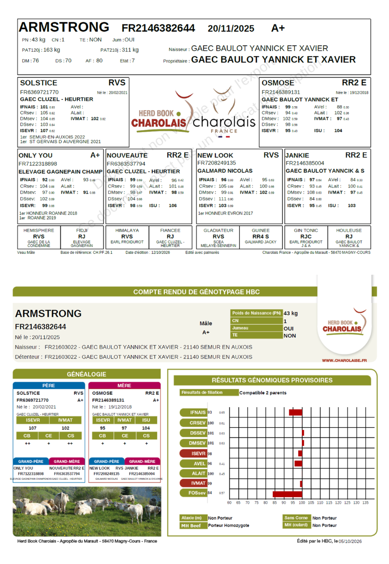 genealogie taureau charolais ARMSTRONG 