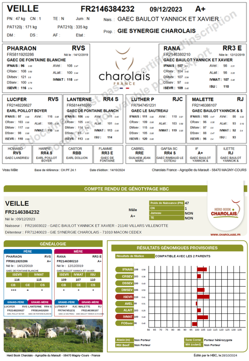 genealogie taureau charolais VEILLE