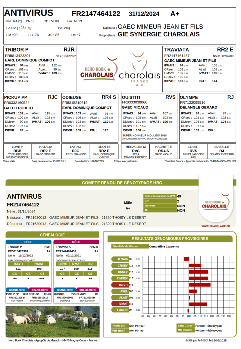 genealogie taureau charolais ANTIVIRUS