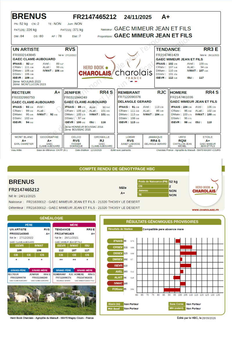 genealogie taureau charolais BRENUS    