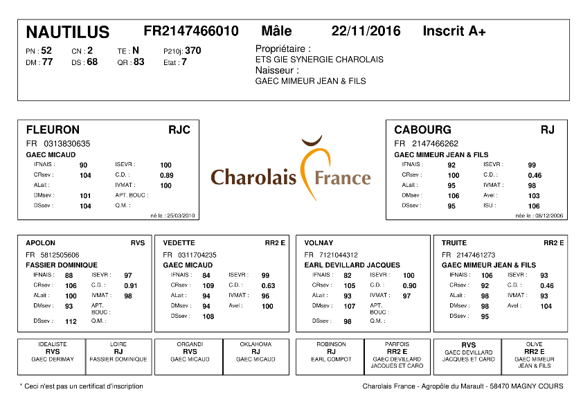 genealogie taureau charolais NAUTILUS