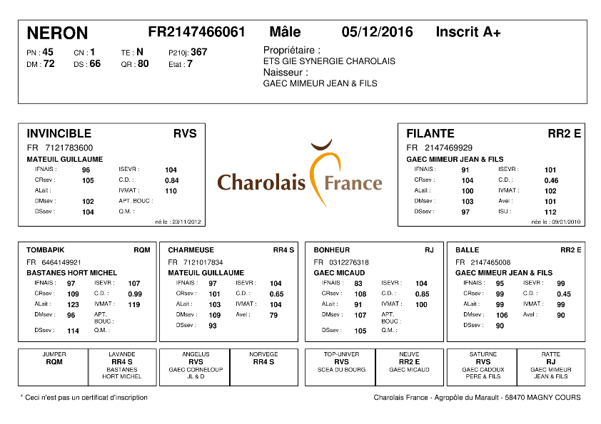 genealogie taureau charolais NERON