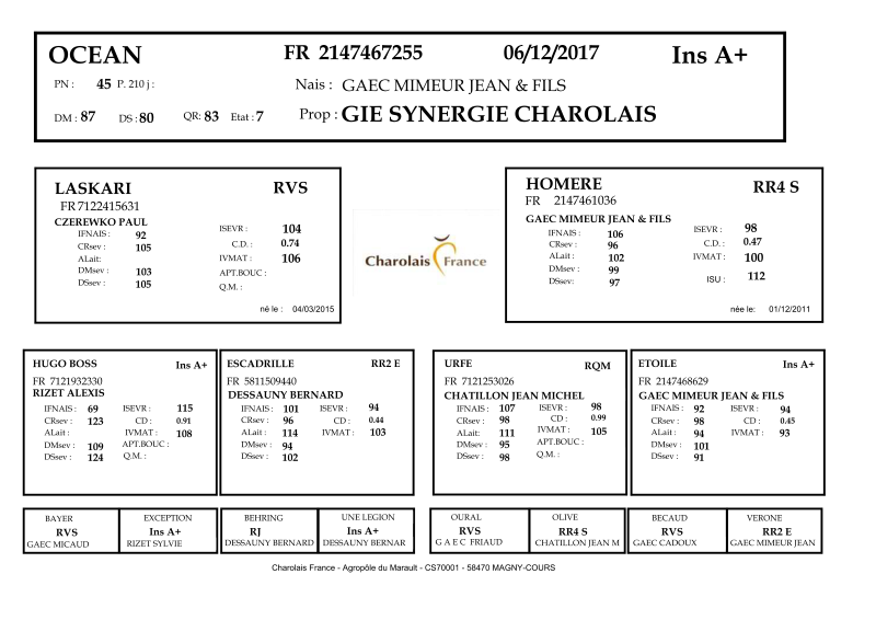 genealogie taureau charolais OCEAN