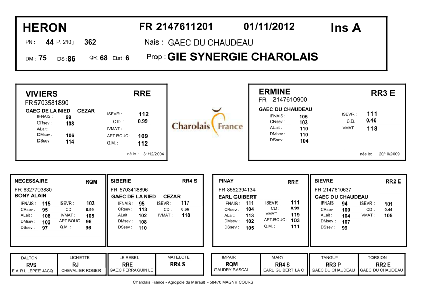 genealogie taureau charolais HERON