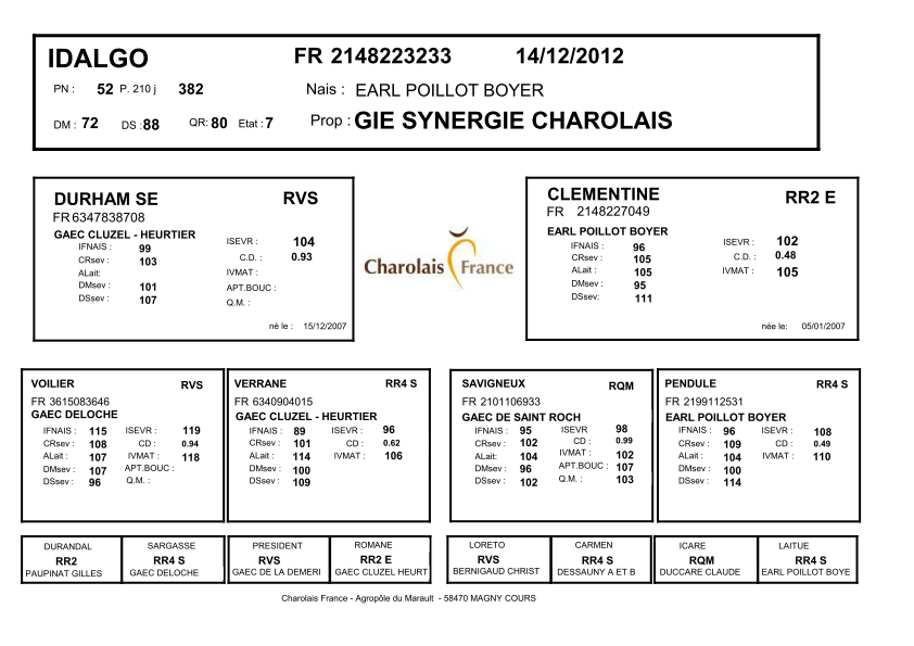 genealogie taureau charolais IDALGO