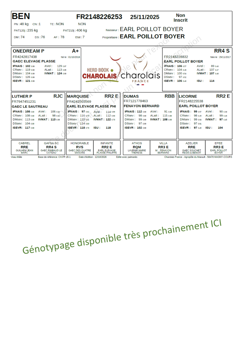 genealogie taureau charolais BEN       