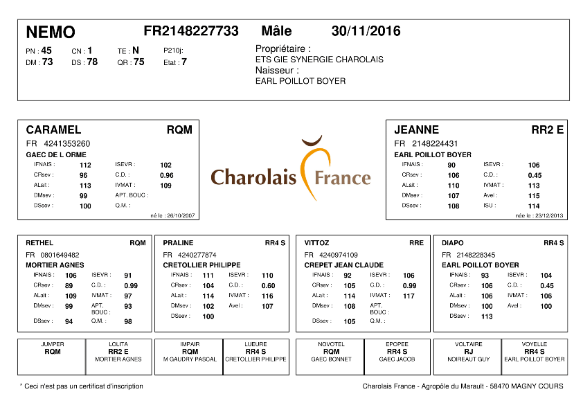 genealogie taureau charolais NEMO