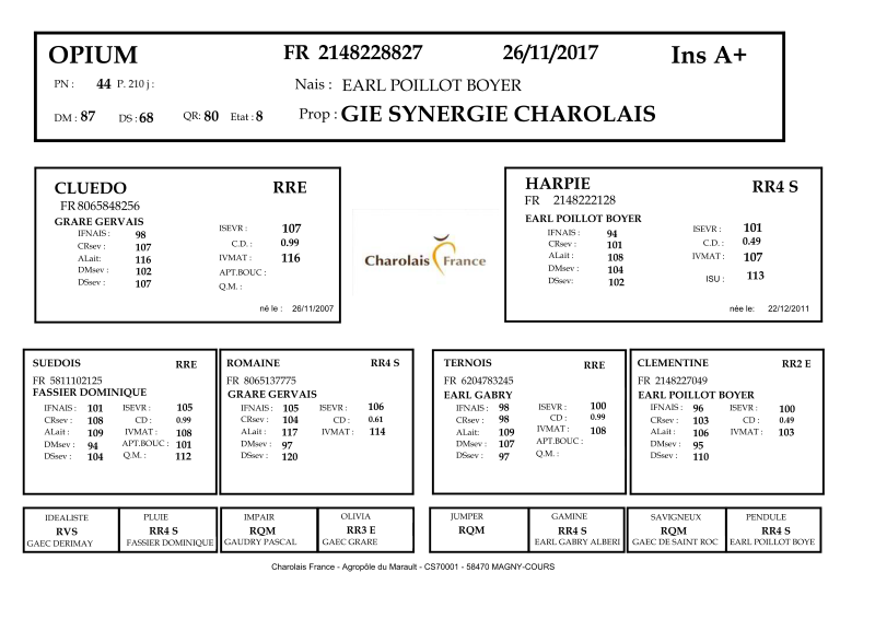 genealogie taureau charolais OPIUM