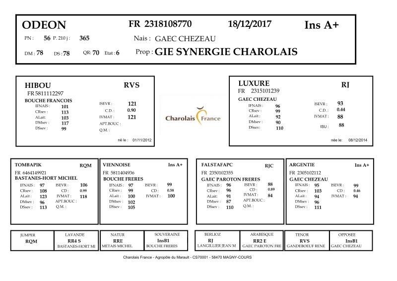 genealogie taureau charolais ODEON