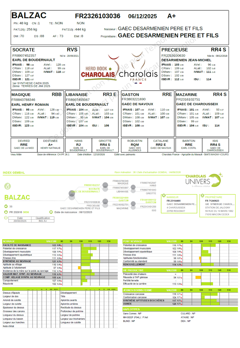 genealogie taureau charolais BALZAC    