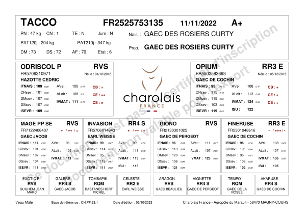 genealogie taureau charolais TACCO