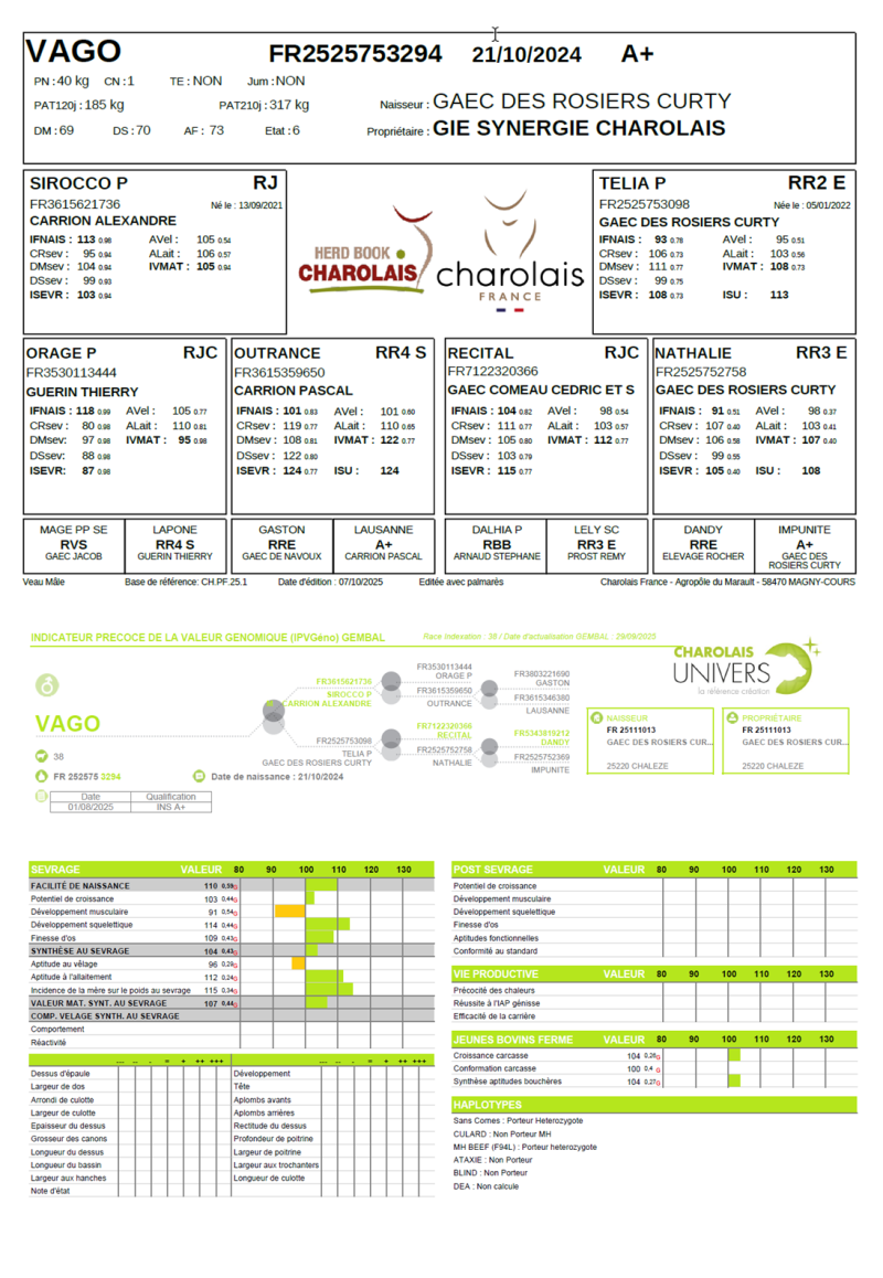 genealogie taureau charolais VAGO