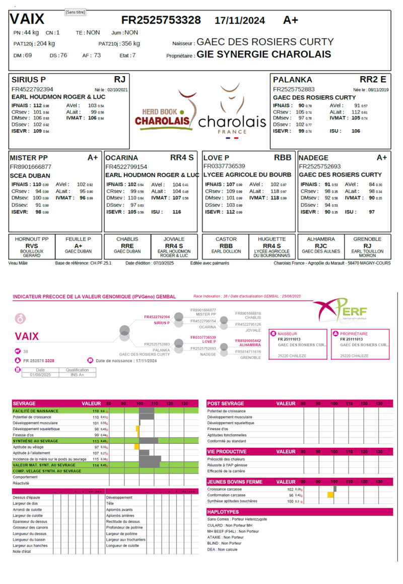 genealogie taureau charolais VAIX