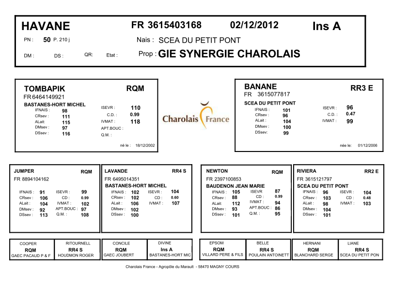 genealogie taureau charolais HAVANE