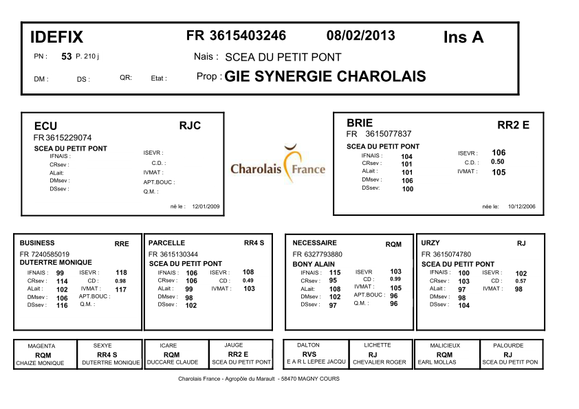 genealogie taureau charolais IDEFIX